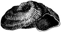 HPN037CA.TIF