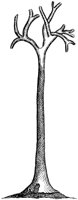 HPN037AX.TIF