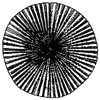 HPN037AO.TIF