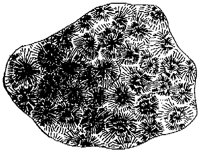 HPN037AC.TIF