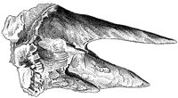 HPN035AT.TIF