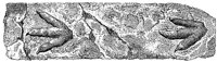 HPN041BE.TIF