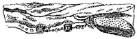 HPN041BC.TIF