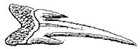 HPN041BB.TIF