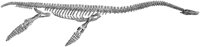 HPN041AZ.TIF