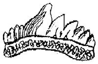 HPN041AS.TIF
