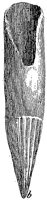 HPN041AE.TIF