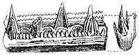 HPN041AA.TIF