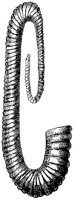 HPN039DF.TIF