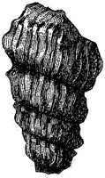 HPN039DD.TIF
