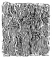 HPN039CK.TIF