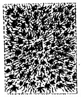 HPN039BU.TIF