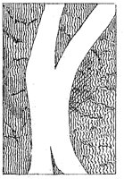 HPN039BM.TIF