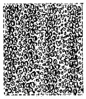 HPN039BH.TIF