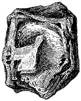 HPN039BC.TIF