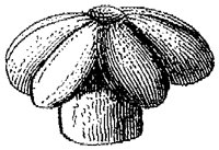 HPN039BA.TIF