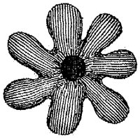 HPN039AZ.TIF