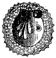 HPN039AT.TIF