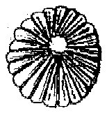 HPN039AR.TIF