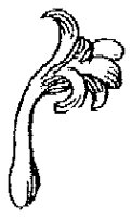 HPN058CA.TIF