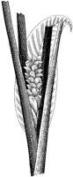 HPN058BD.TIF