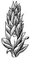 HPN058BC.TIF
