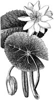HPN058BA.TIF