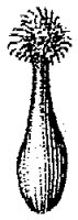 HPN058AF.TIF