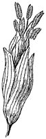 HPN057BO.TIF