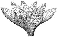 HPN057BK.TIF