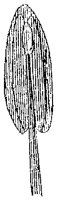 HPN057BI.TIF