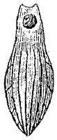 HPN057BH.TIF