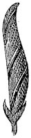 HPN057BD.TIF