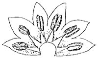 HPN057AS.TIF