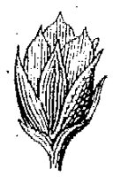 HPN057AG.TIF
