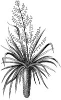 HPN057AB.TIF