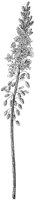 HPN057AA.TIF
