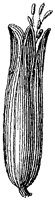 HPN056BP.TIF