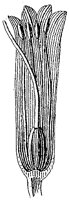 HPN056BK.TIF