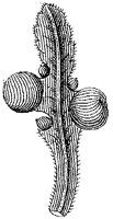 HPN056BJ.TIF