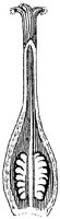 HPN056BI.TIF