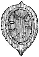 HPN056BC.TIF