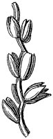HPN056AQ.TIF