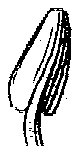 HPN056AO.TIF