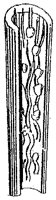 HPN056AJ.TIF