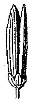 HPN056AI.TIF