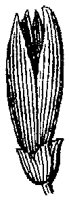HPN056AH.TIF
