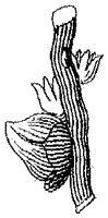 HPN056AD.TIF