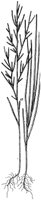 HPN055BP.TIF