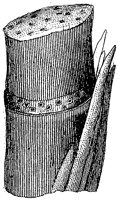 HPN055BD.TIF